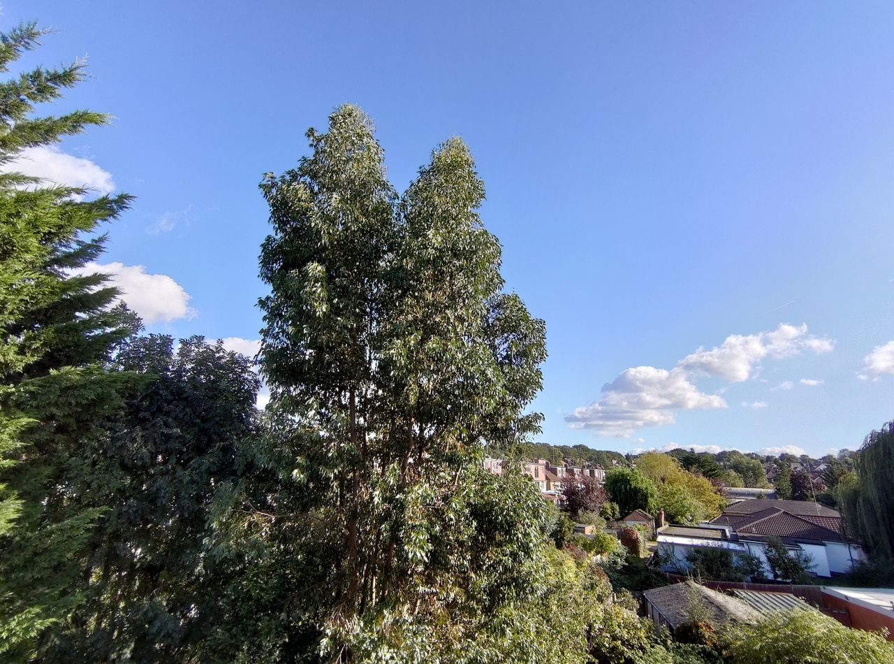 Secondary camera landscape sample.