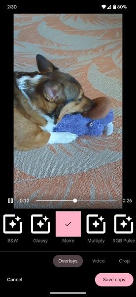 Google Photos new feature