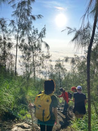 a photograph of the author hiking in the indonesian jungle