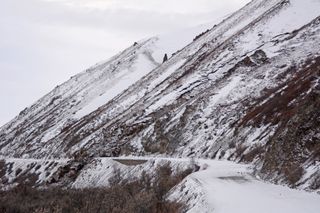 Denali landslide