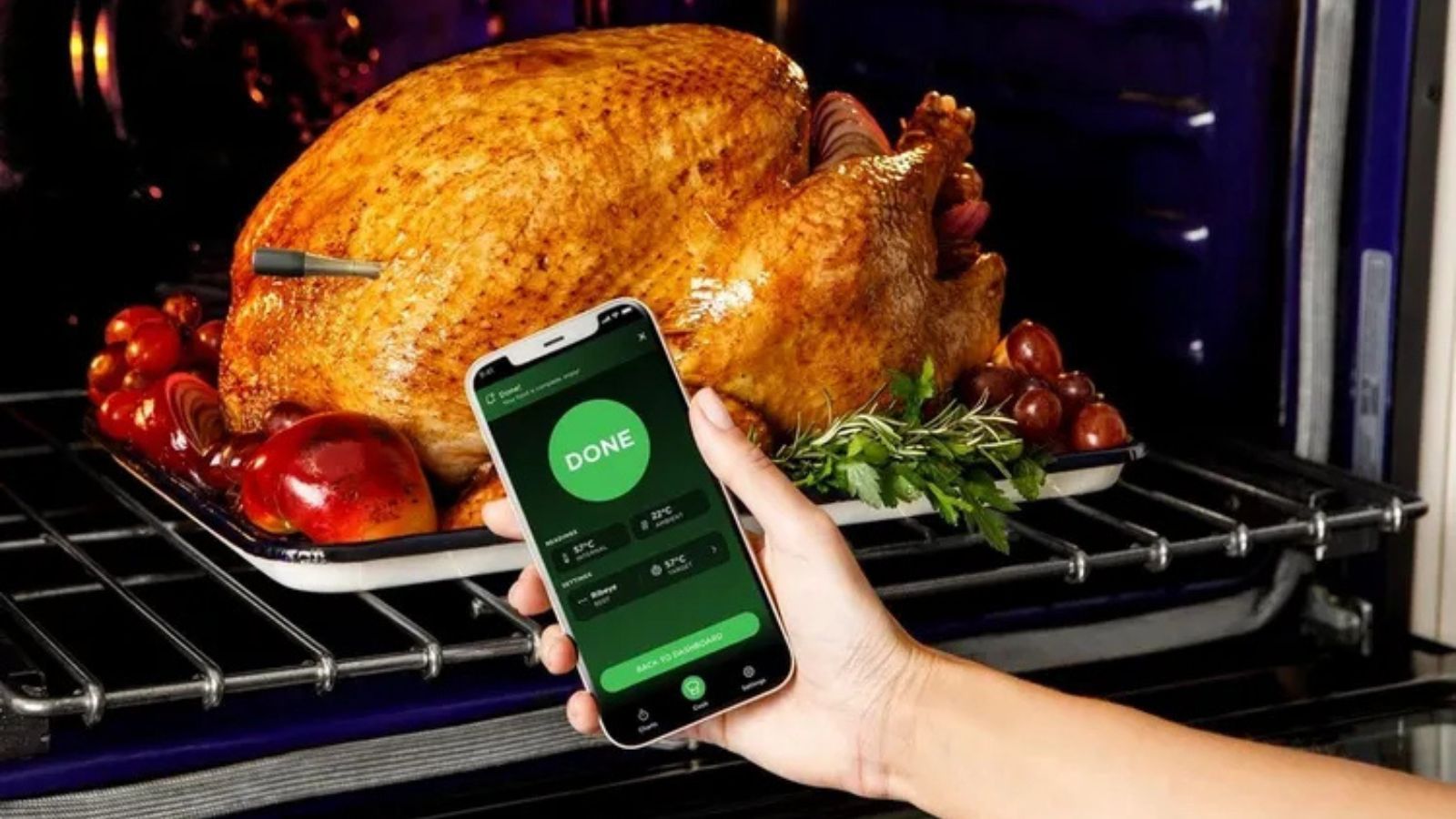 The Ninja ProChef Wireless Thermometer: For Perfect Turkey | Homes