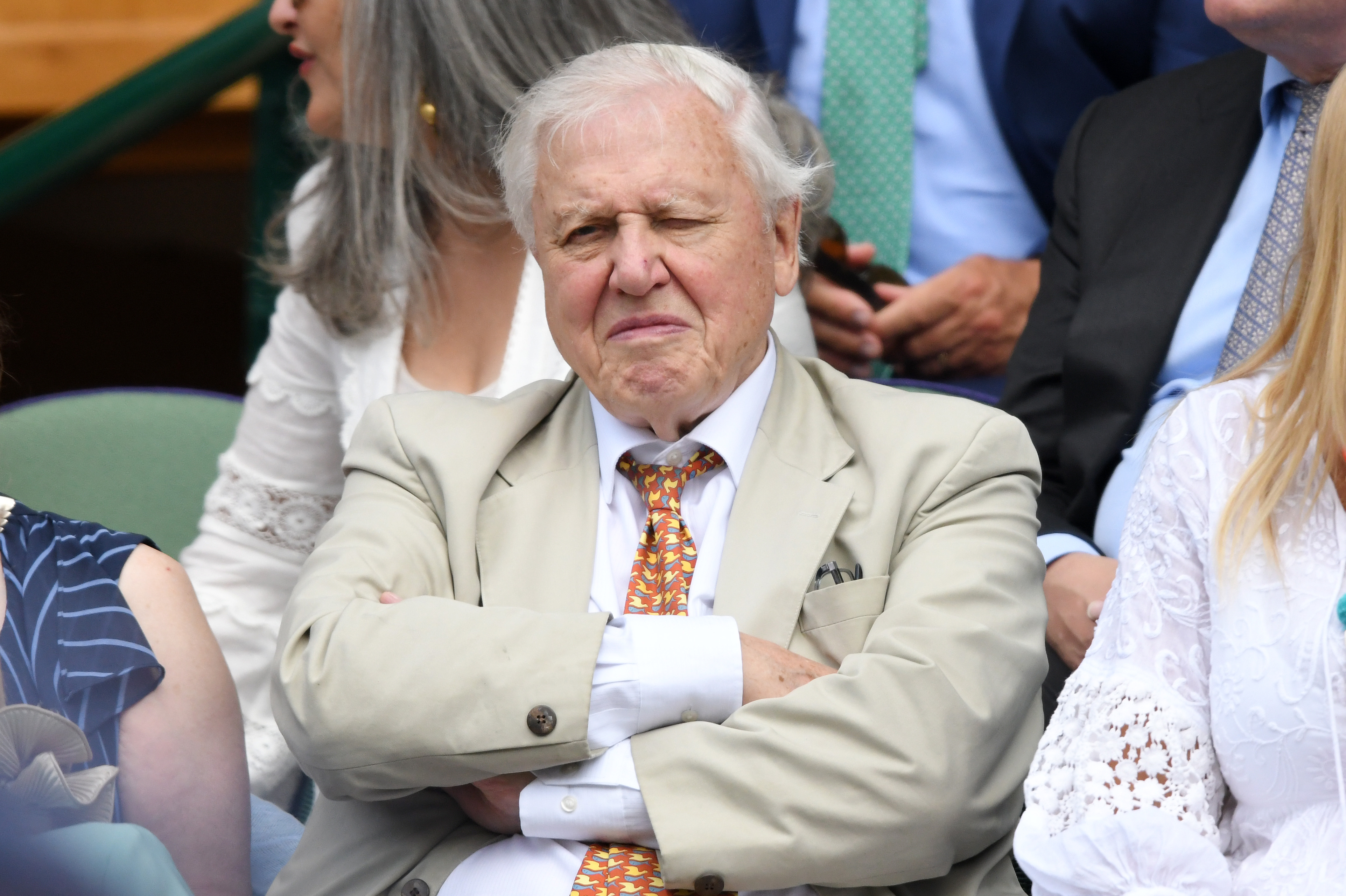 Sir David Attenborough attends day eleven of the Wimbledon Tennis Championships at the All England Lawn Tennis and Croquet Club on July 13, 2018 in London, England.