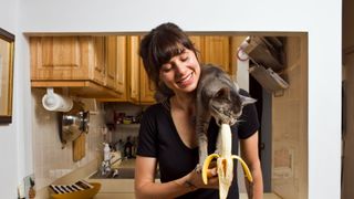 cat eating bananas from human
