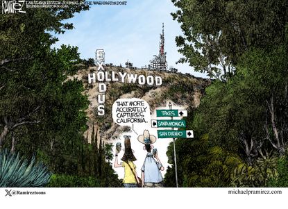 Political Cartoon