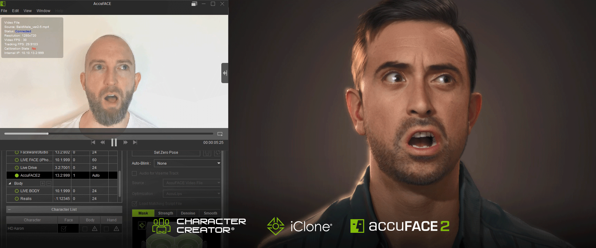 Reallusion software in use