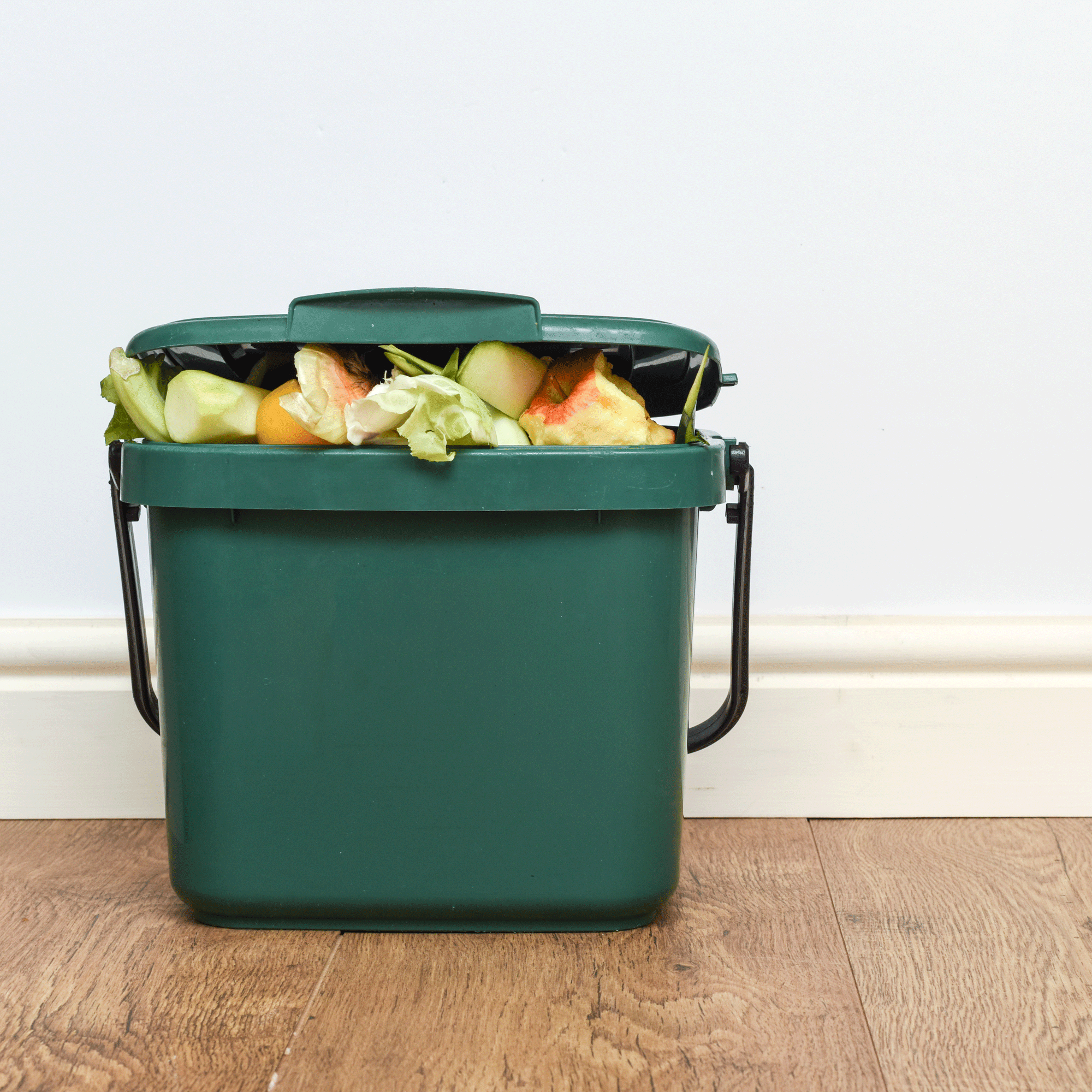 Green food waste bin on a floor 