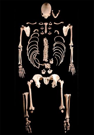 The skeleton of an ancient caveman dubbed Brana 1 yielded the oldest DNA found in a modern human.