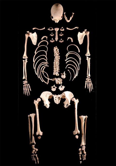 Cavemen Bones Yield Oldest Modern Human DNA Human Origins Live