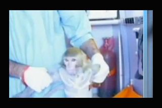 Iran's Space-Traveling Monkey #2