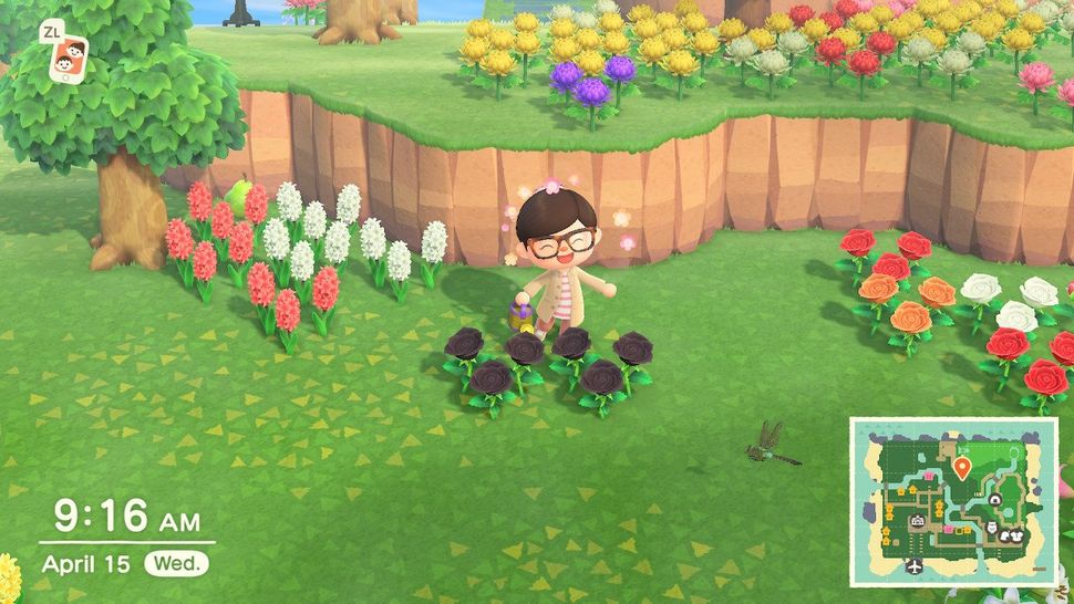 Animal Crossing New Horizons How to get a 5star town and unlock the