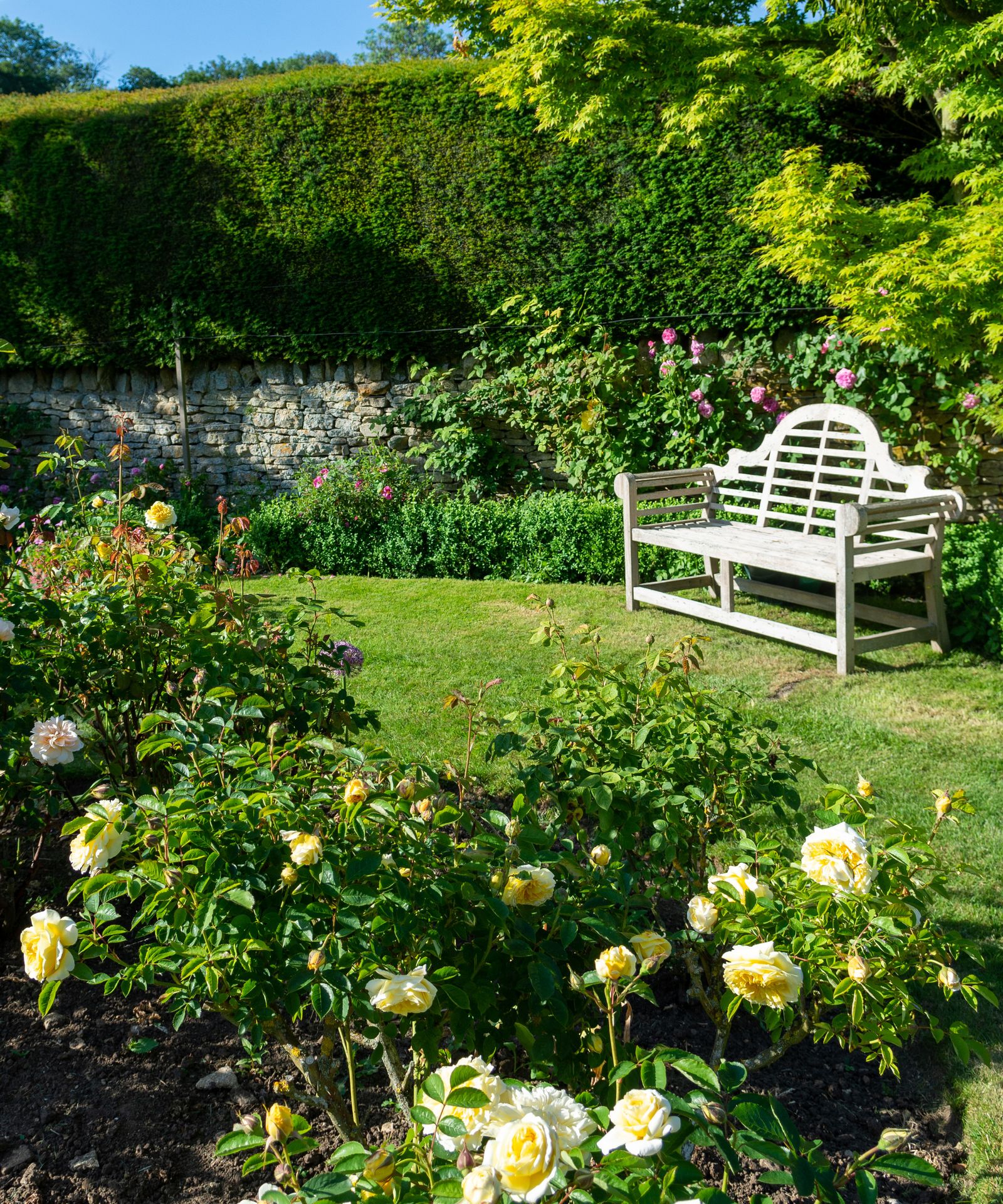 How To Water Plants While On Vacation To Keep Them Healthy Homes   LsooEk4ejUZwPu3uz5jV8X 1600 80 