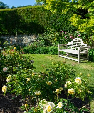 Lutyens style bench in English garden with roses in flower beds