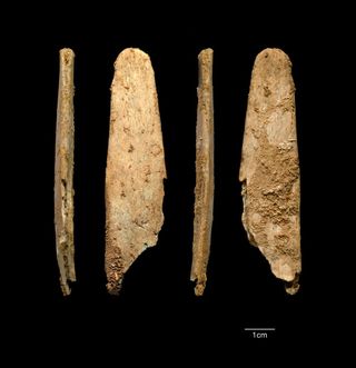 Neanderthals may have crafted what are the oldest examples of a kind of bone tool called a lissoir, which was used to smooth out hides to make them tougher. Here, the most complete lissoir found during excavations at the Neanderthal site of Abri Peyrony in Europe.