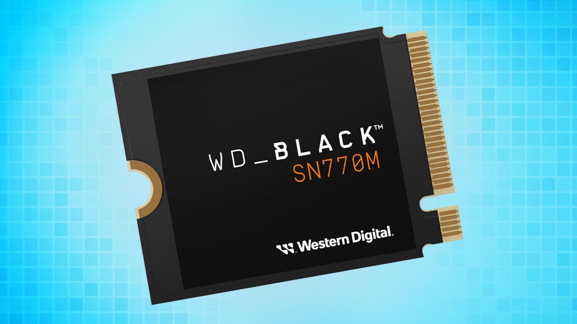 内蔵型SSD WD Black SSD SN770M 1TB Amazon | Western Digital ウエスタンデジタル 内蔵SSD 1TB WD