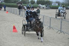 Emily Ham at the Indoor Carriage Driving Championships 2014