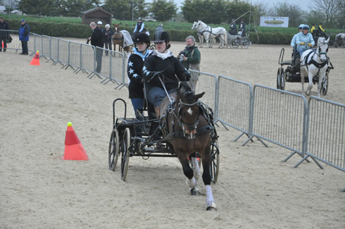 Emily Ham at the Indoor Carriage Driving Championships 2014