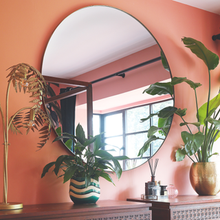 Circular mirror in orange bedroom surrounded by houseplants