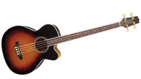 Best acoustic bass guitars: Takamine GB72CE acoustic bass guitar