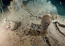 A prehistoric human skeleton in the Chan Hol Cave near Tul&uacute;m on Mexico's Yucat&aacute;n peninsula.