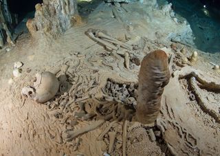 A prehistoric human skeleton in the Chan Hol Cave near Tulúm on Mexico's Yucatán peninsula.