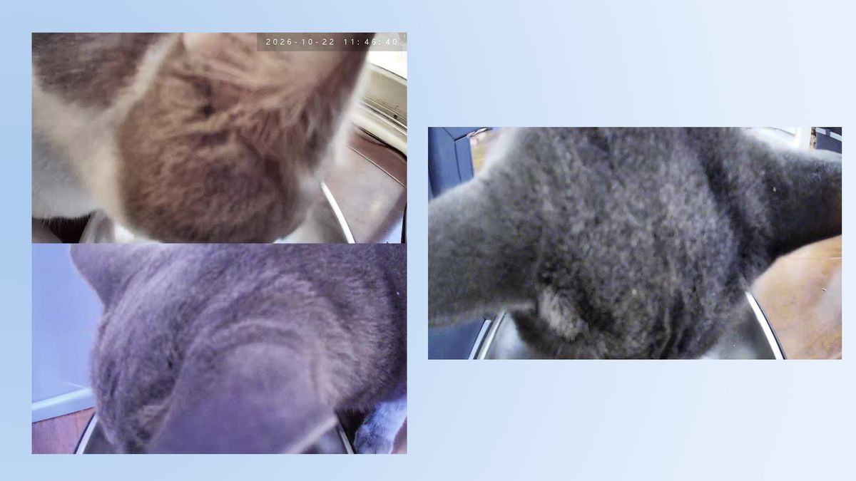 Post image 11