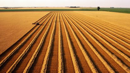 farmer plowing wheat fields