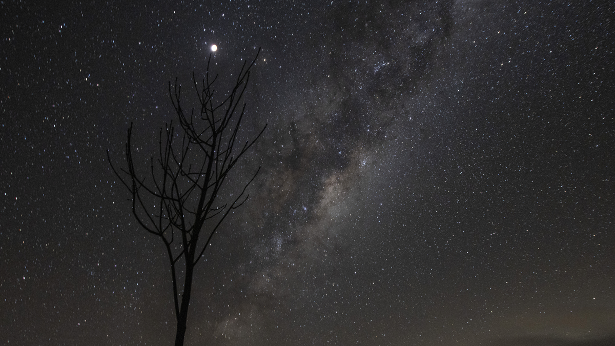 A tree's silhouette etched against the Milky Way and the full moon of May 26, 2021, seen from Rylstone, Australia.