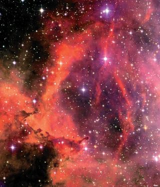 Central Part of the Rosette Nebula (NGC 2239)