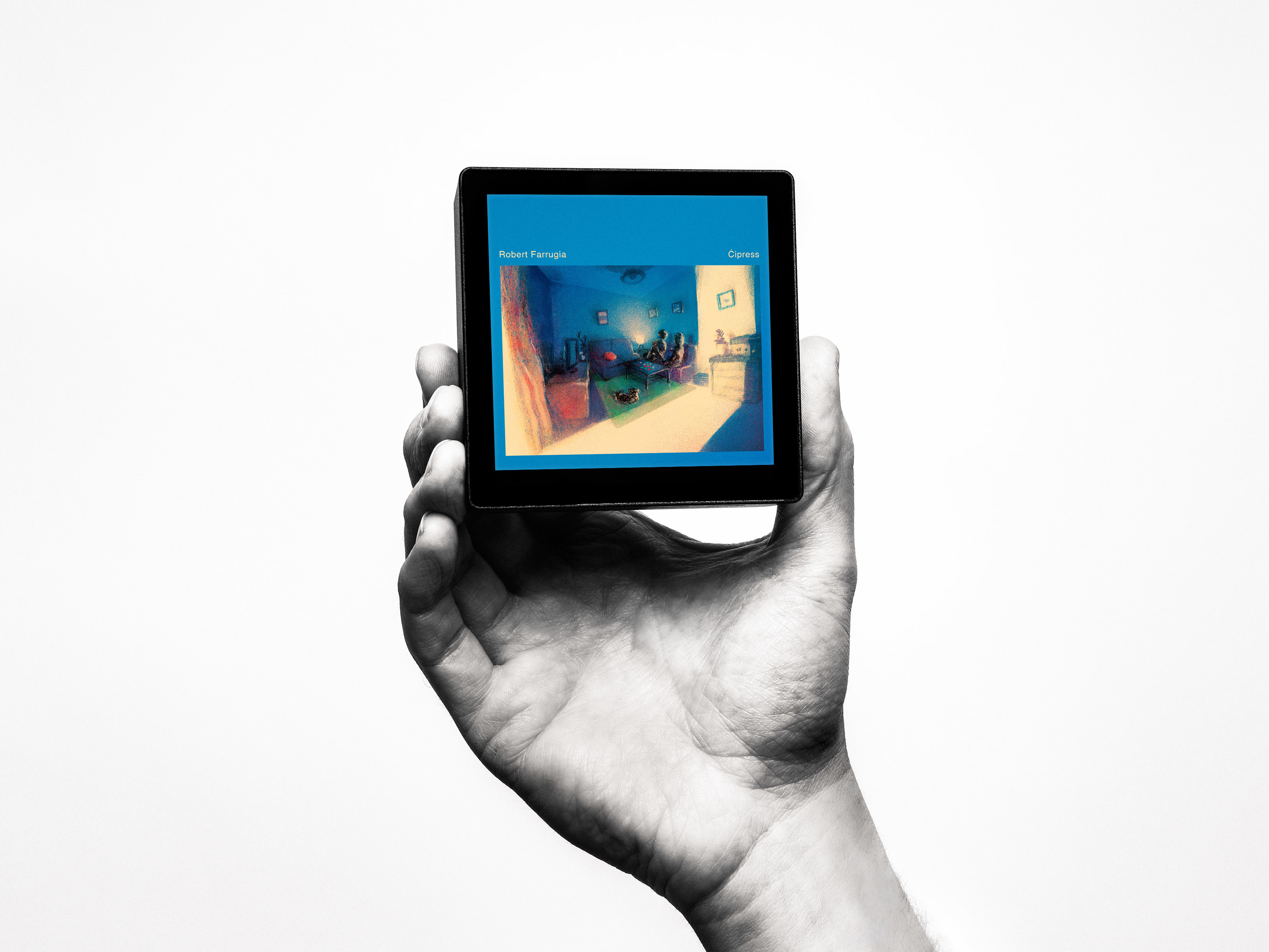 The Sleevenote player