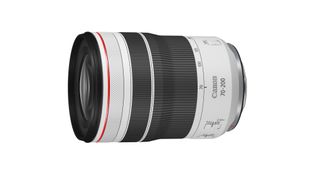Best telephoto lens: Canon RF 70-200mm f/4L IS USM