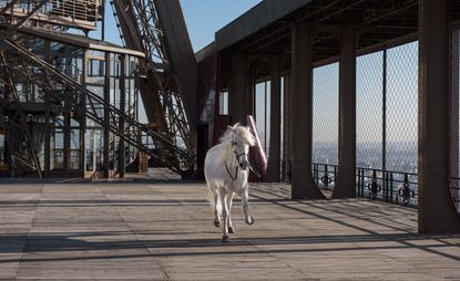 A horse-riding competition taking place on the Champ de Mars, just below the Eiffel Tower