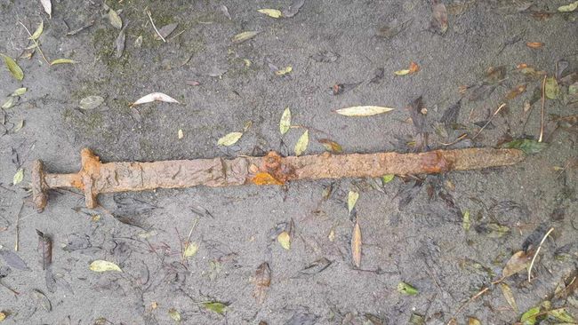 Viking sword