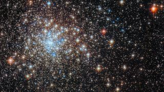 A dense cluster of bright stars