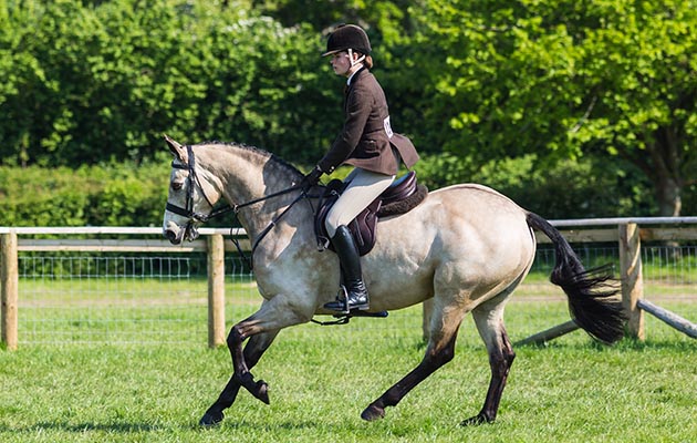 Devon County Show 2018