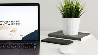 Desk with plant