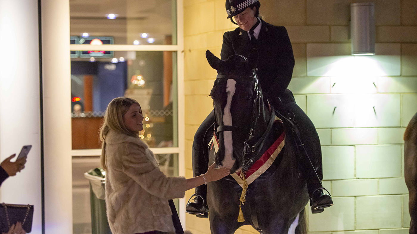 Horse and Hound Awards H&amp;amp;H 04.12.2019 at Cheltenham