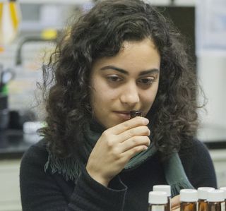 volunteer smelling scent