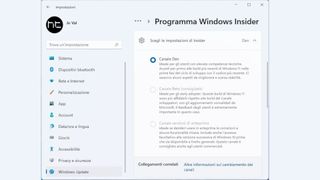 Windows 11 Insider channel with greyed out options