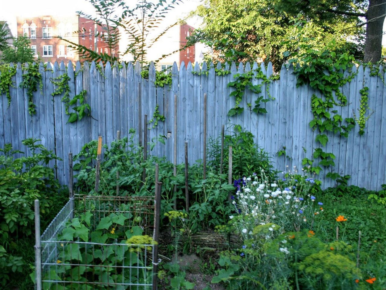 Backyard Farm Garden