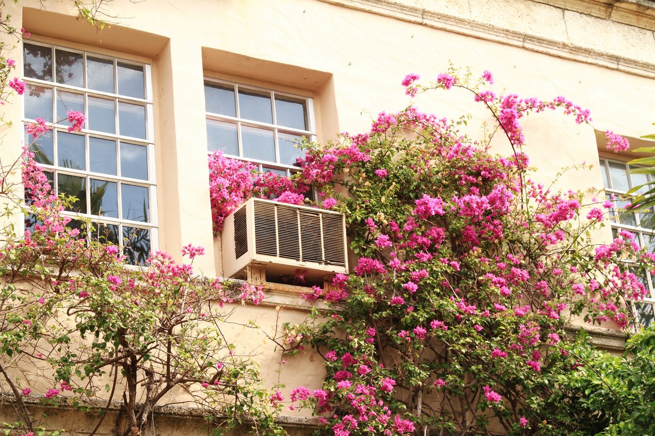 air conditioner in window surrounded by flowers