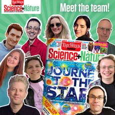 Meet the team graphic