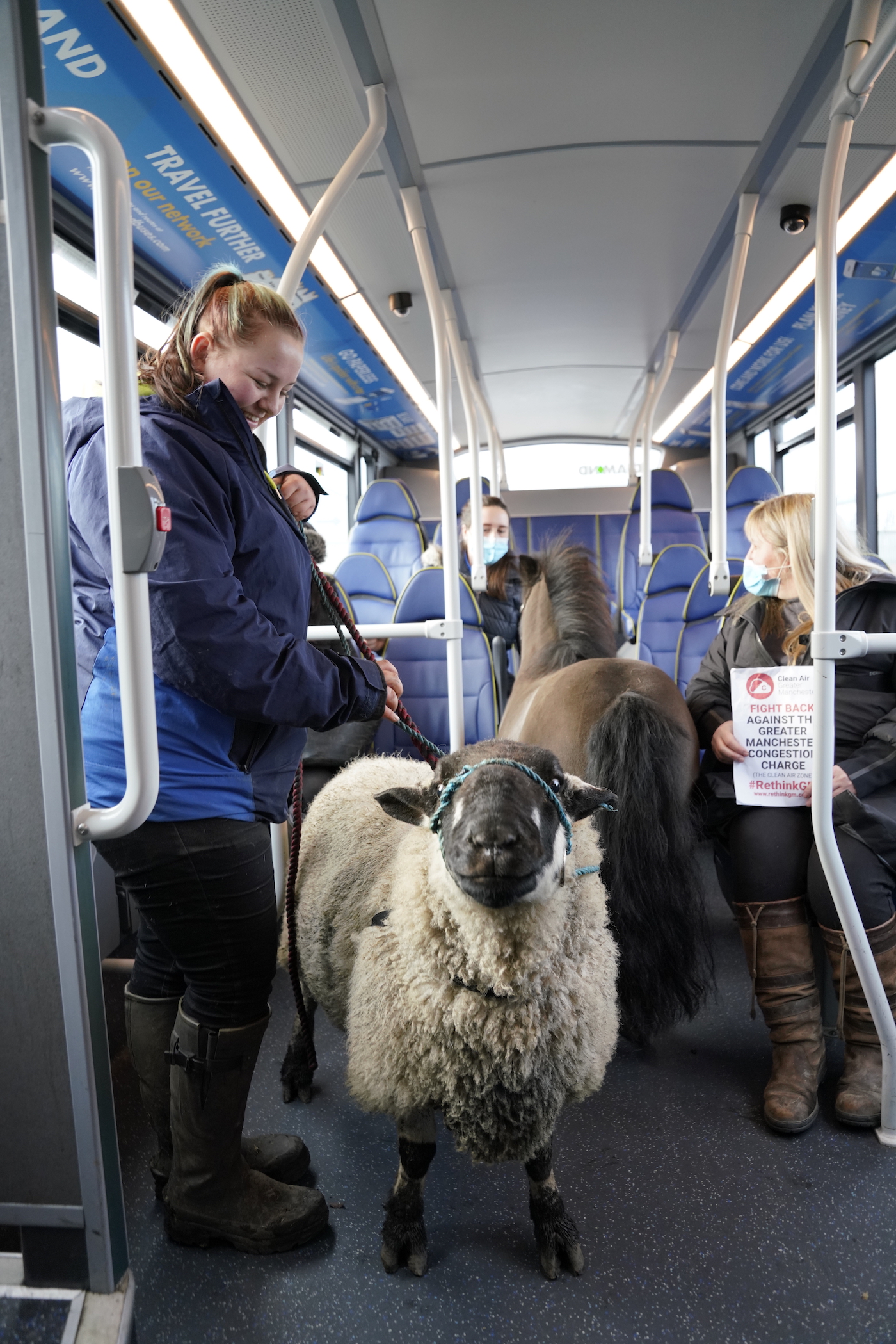 Bus
