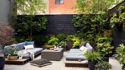 Urban garden in New York with plants and outdoor furniture