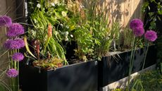 a dipping tank in a modern garden filled with plants 
