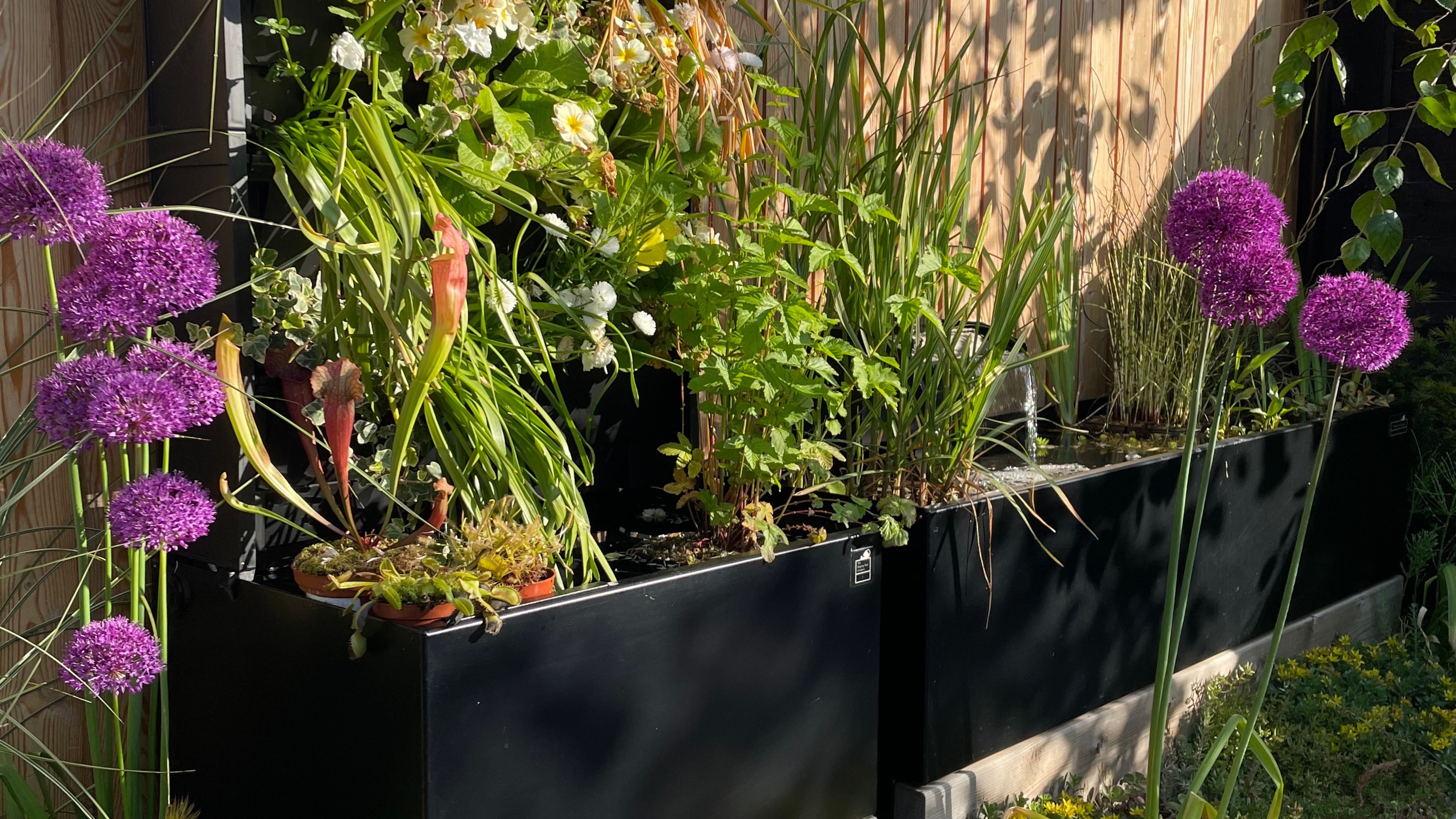 a dipping tank in a modern garden filled with plants 