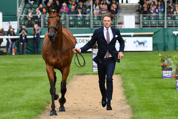 STINGER_LRBHT_NP18_72609.jpg
