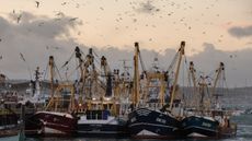 Fishing boats moored in a UK harbour. 