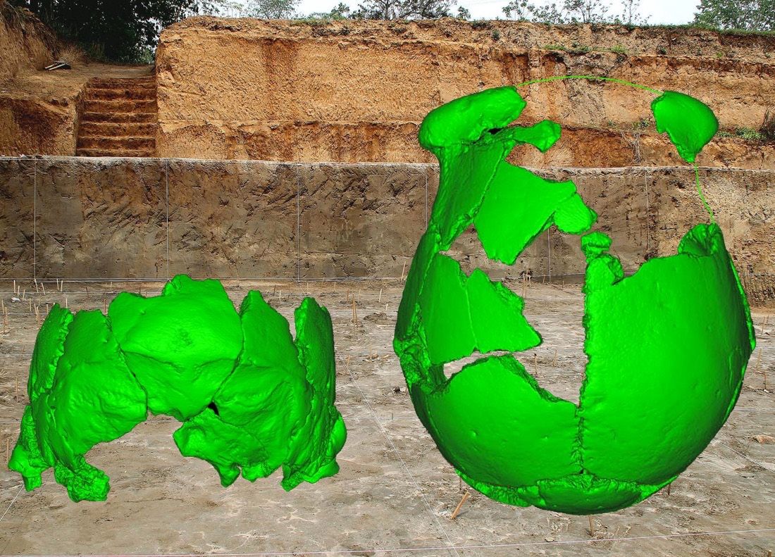 Two partial skulls (shown here in a digital reconstruction) of an early human were discovered at an archaeological site (shown here) in Xuchang in central China.