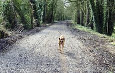 meon-trail.jpeg