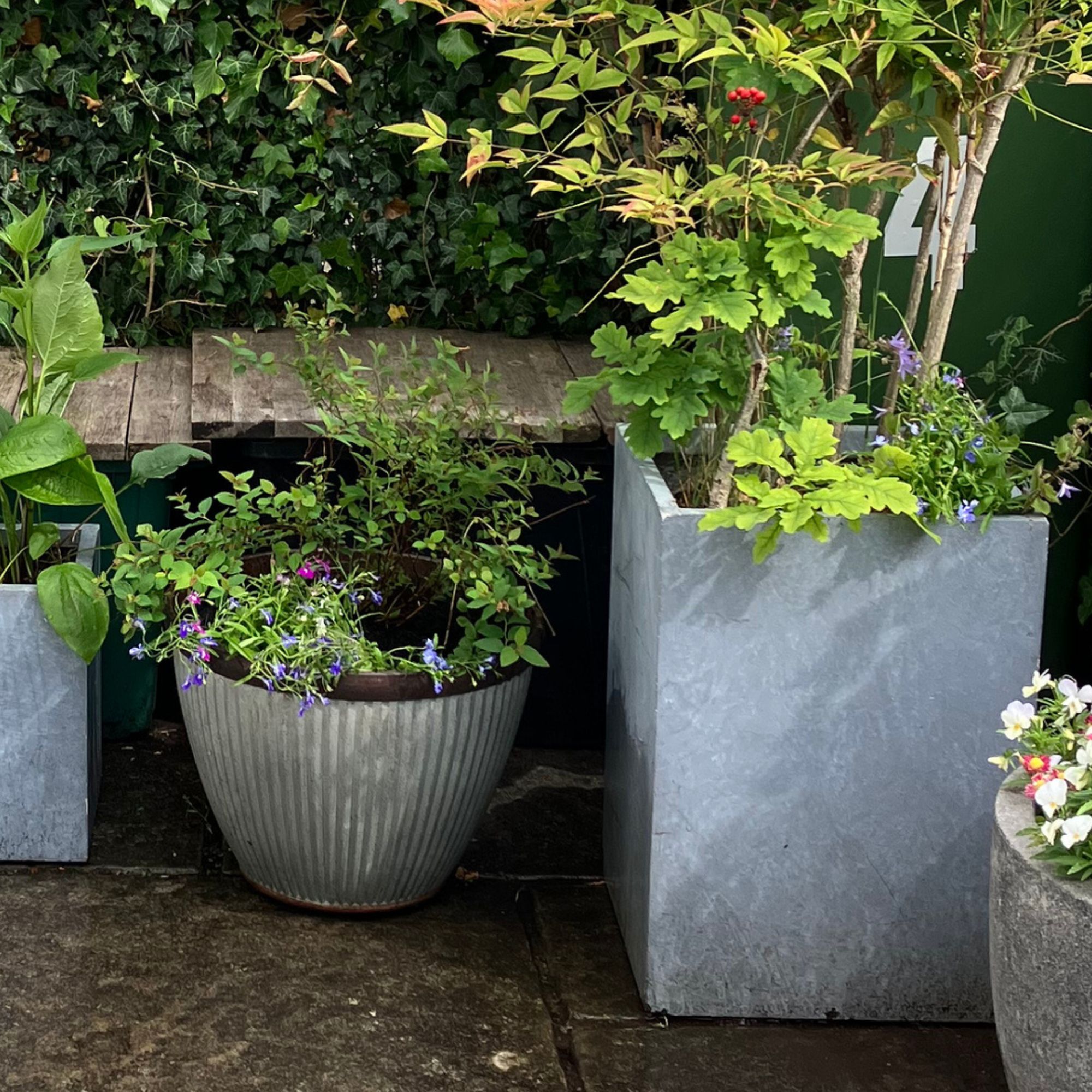 garden planters with greenery